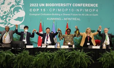 ‘I still can’t get over the fact we did it’: what it felt like to seal historic Cop15 deal