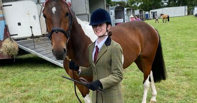 People in tears as horse abandoned and 'left to die' on road wins big at show