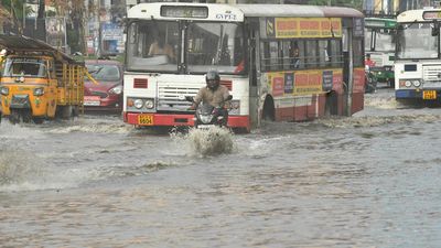 Rain brings down mercury levels in Andhra Pradesh