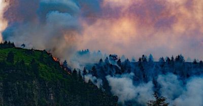 Desperate firefighters appeal for help as wildfires rip through hundreds of acres of Welsh countryside