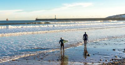 Warnings issued as jellyfish and toxic algae set to pose risk across UK coastlines