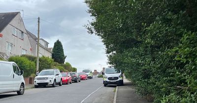 Police called to Swansea street after 'sudden death' of woman