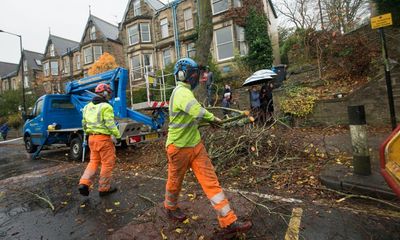 Sheffield council issues apology over tree-felling scandal