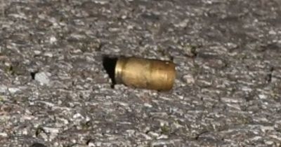Forensics 'link' Chapman to bullet casing found at scene of Elle Edwards shooting