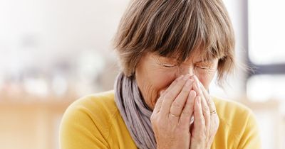 Hay fever warning for Leeds on Wednesday as thunder gives way to sunshine