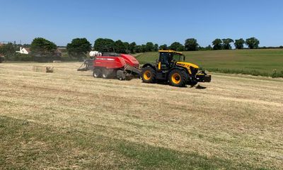 Country diary: The hay harvest has begun, and the air is vanilla-sweet