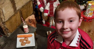 Search for stem cell donor is 'only chance' to save life of eight-year-old Bobby