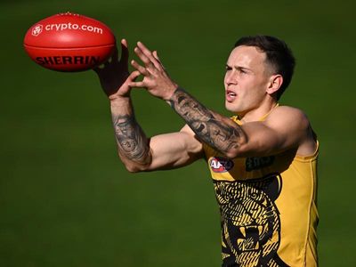 Hawk Sicily, Tiger Mansell to appeal AFL suspensions