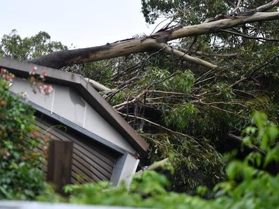 Lack of household emergency plan puts millions at risk