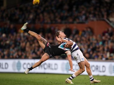 Injuries not sole factor in Geelong woes: coach Scott