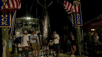 Their prize catch was set to bring in $3.5 million. Then the fish was disqualified