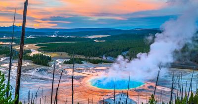 Yellowstone park cordoned off as baffling new 'mud-slinging' geyser erupts