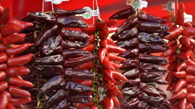 Violent hailstorm decimates entire espelette red pepper crop