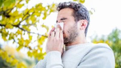 Why is the hay fever season so bad in 2023?
