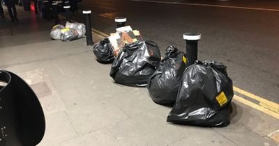 'BinBag' scheme launched to protect city centre waste from rabid seagulls