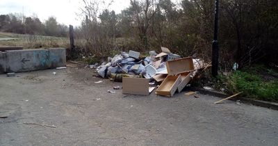 Fly-tipper order to pay more than £1,000 for dumping plasterboard, broken pallets and wash basins in Newcastle park