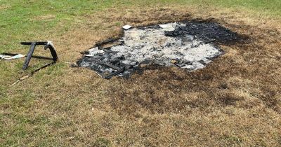 Bed set alight and trees snapped as vandals run riot in Bristol park