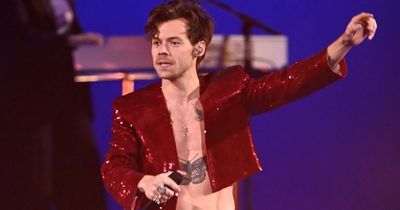 Harry Styles stops huge UK gig so pregnant woman could go to the toilet without missing show