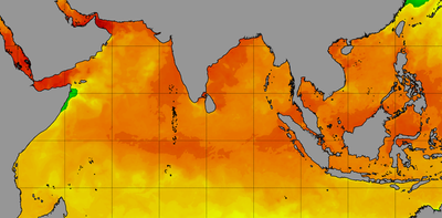 Ocean heat is off the charts – here's what that means for humans and ecosystems around the world