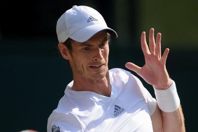 Andy Murray's family rage as two-time winner left out of Wimbledon painting