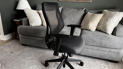 Ergonofis YouToo Ergonomic Chair Review