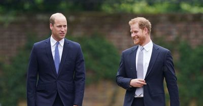 Prince William's embarrassing birthday cake left him 'red-faced' but Harry loved it