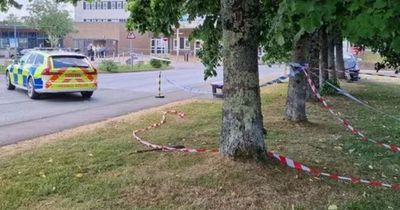 Child airlifted after car ploughs into pedestrians outside hospital