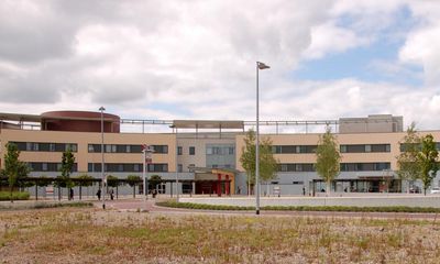 Man arrested after stabbings and pickaxe attack at London hospital, say police