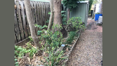 There is a python hidden in this image; we challenge you to spot the giant snake within 10 seconds