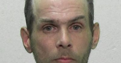 Pervert who carried out 'bizarre' sex act on baby herring gull in Sunderland is jailed
