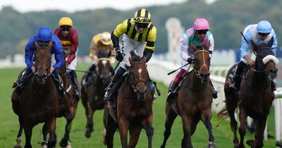 Royal Ascot 2023 tips: Newsboy's Thursday selections for all seven races plus NAP