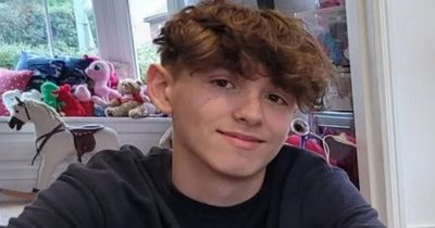 Boy killed in BMW crash with two others was 'planning his 18th birthday party'