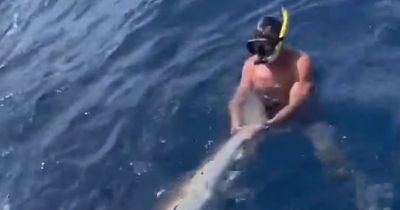 Man leaves people divided after he wrestles shark in the water on fishing trip