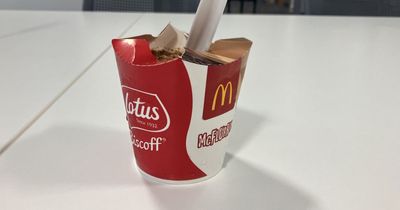 I tried the new Biscoff McFlurry and I'm desperate for it to stay on the menu