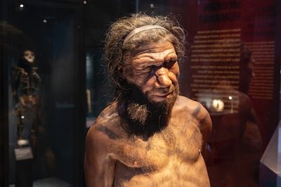 Archaeologists Just Confirmed The Oldest Known Neanderthal Cave Engravings