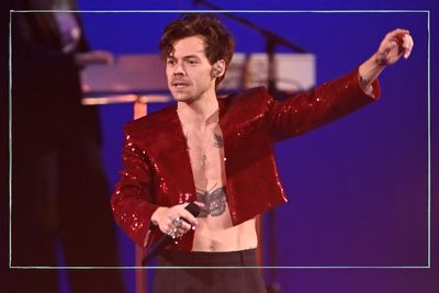 Harry Styles just paused an entire show for a pregnant woman - but there was a vital reason