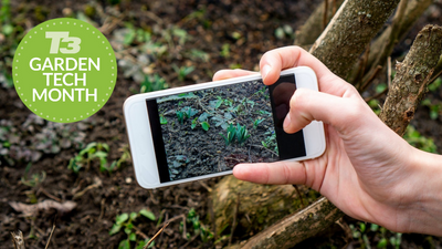 5 apps that will help you identify unknown plants and flowers