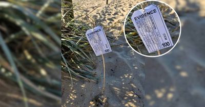 Paw patrol: mysterious citizen evidence tags dog poos on beach
