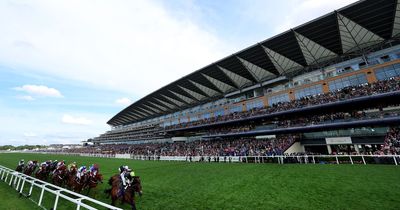 Royal Ascot steward in hospital after being kicked in head by horse in freak accident