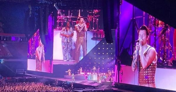 Harry Styles stops show for several minutes mid-song to check on fan