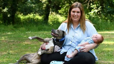 Doggy Midwife Helps UK Woman Through Childbirth