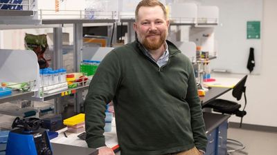 Climate Change Threatens Insect Communities, Disrupting Ecosystems And Food Supplies