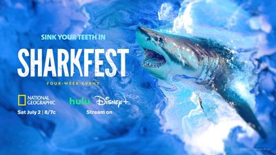 ‘Sharkfest’ Will Be a Joint Venture for Disney’s Networks, Stations