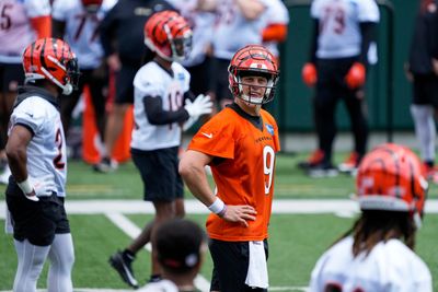 Bengals: Top takeaways, thoughts and notes from recent practices