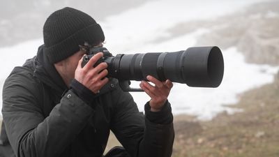 Nikon's 180-600mm is the sensibly-priced super-tele I've been waiting for