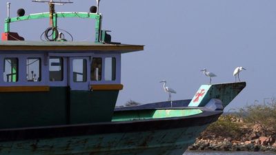 17 fishermen of Pudukottai arrested by Sri Lankan Navy