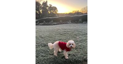 We're not in Marrickville anymore, Toto ... that time the PM sent in his weather pic to ABC-TV news