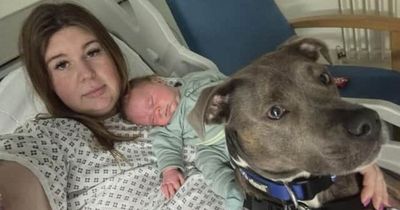 First-time mum gives birth to baby boy with the help of pet dog