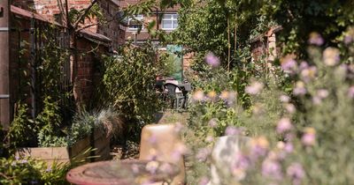 Once a hotspot for rats and filth, now one of Manchester's most mistreated neighbourhoods has been transformed