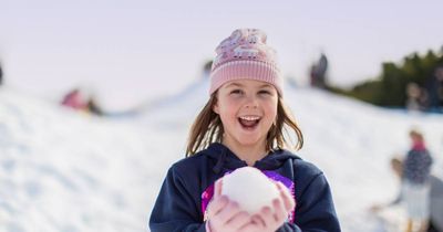 What to do with the kids this weekend